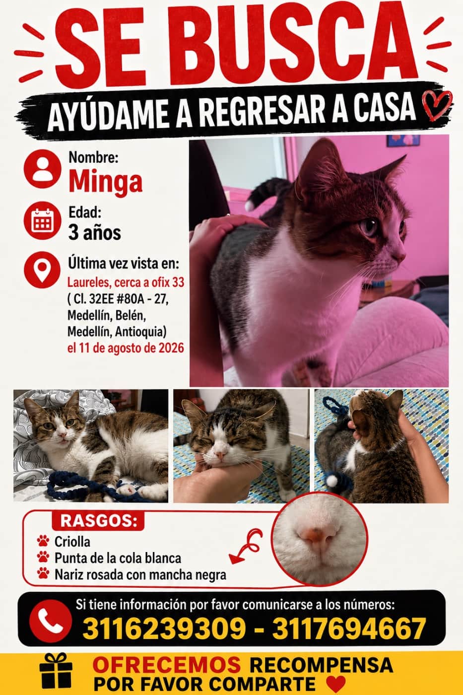 Foto de Minga