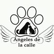 Logo de Ángeles de la Calle Manizales