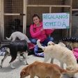 Logo de Fundación Huellitas