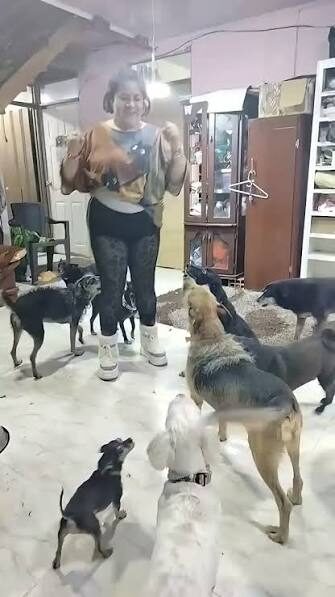 La fundación en su casa, rodeada de los perros que cuida
